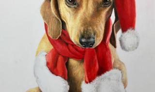 圣诞狗狗之圣诞小宝贝 圣诞狗狗之圣诞小宝贝